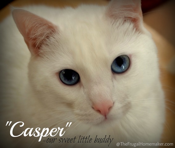 Casper