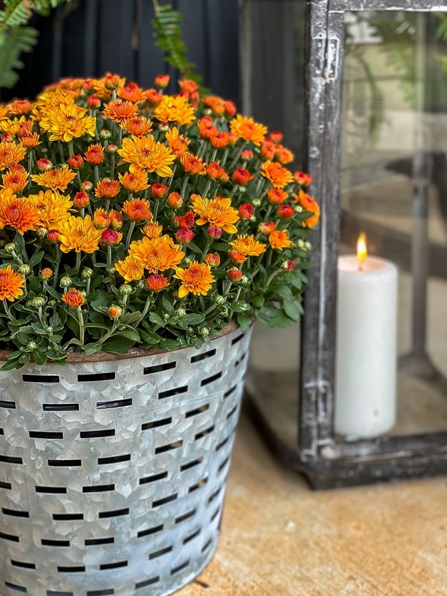 Cozy Fall Front Porch-16