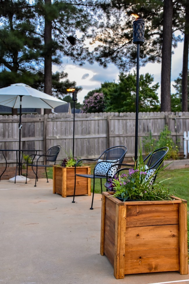 DIY Cedar Wood Planters-5 DIY Cedar Wood Planters-5