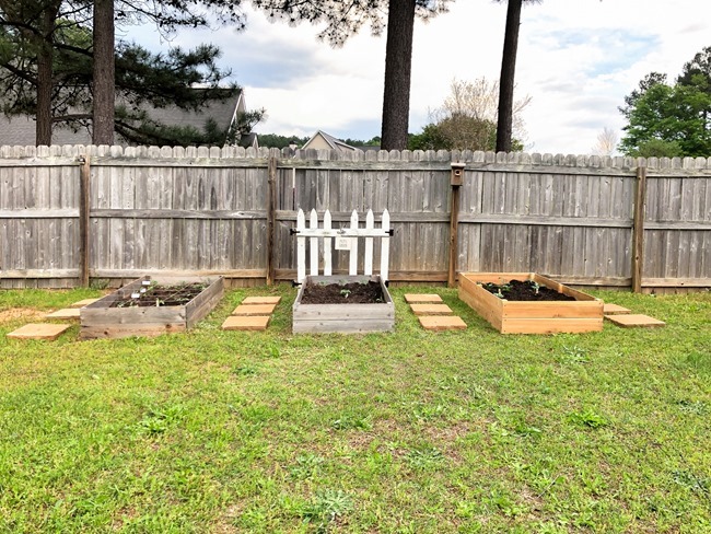 DIY Raised Garden Beds made with cedar fence pickets-8 DIY Raised Garden Beds made with cedar fence pickets-8