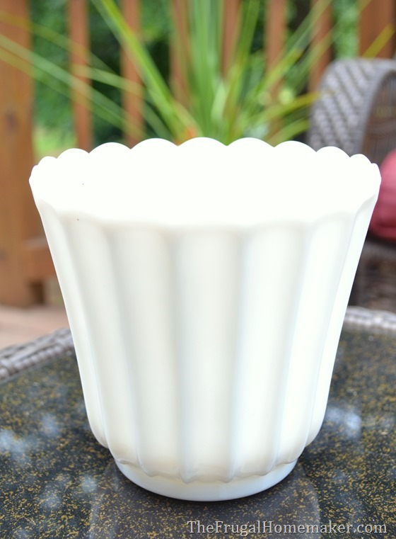 Easy Succulent Garden in a milkglass dish