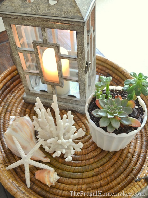 Easy Succulent Garden in a milkglass dish