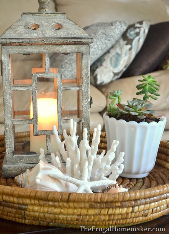 Easy Succulent Garden in a milkglass dish