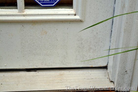 cleaning off mildew off back door