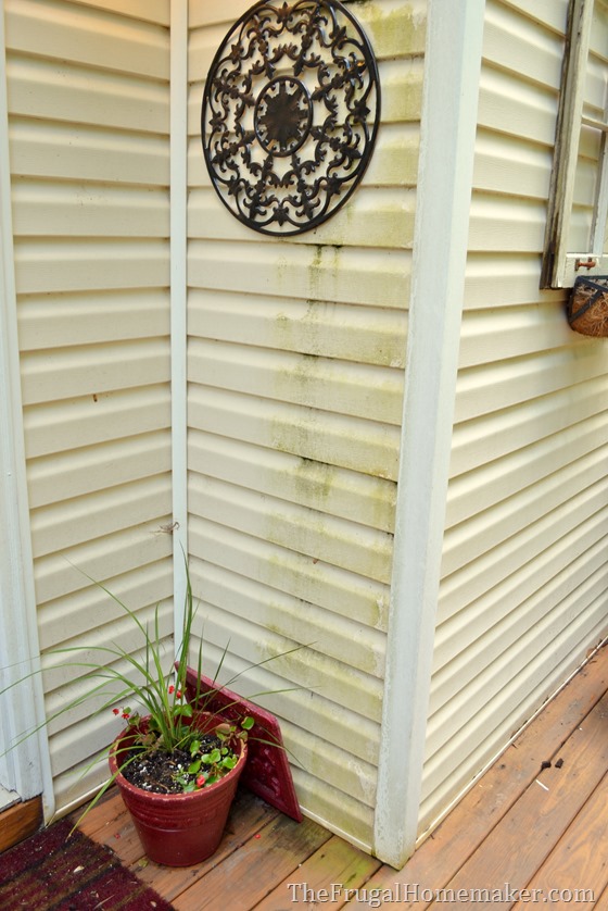cleaning off mildew on vinyl siding