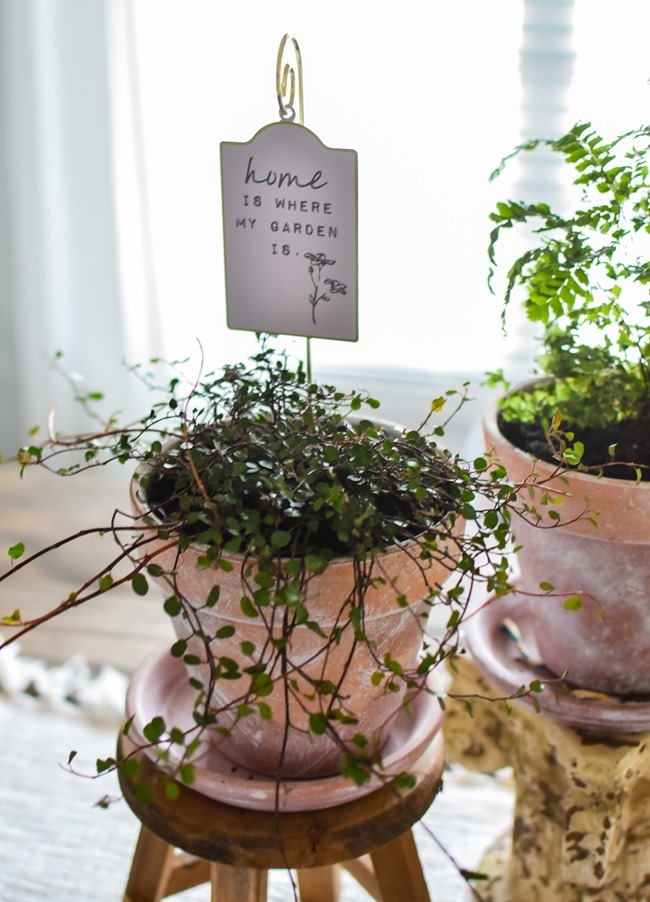 How to age Terra Cotta pots plus a simple spring centerpiece-12