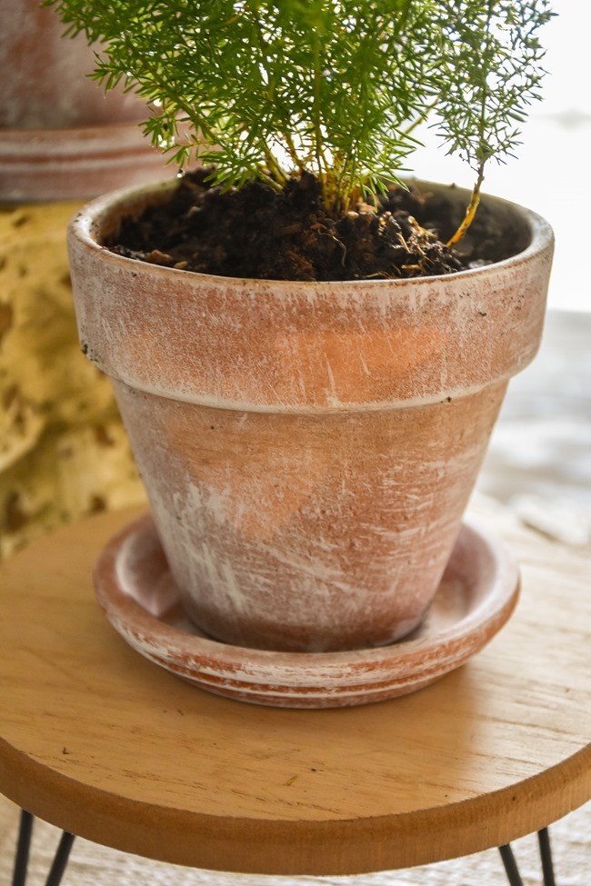 How to age Terra Cotta pots plus a simple spring centerpiece-22