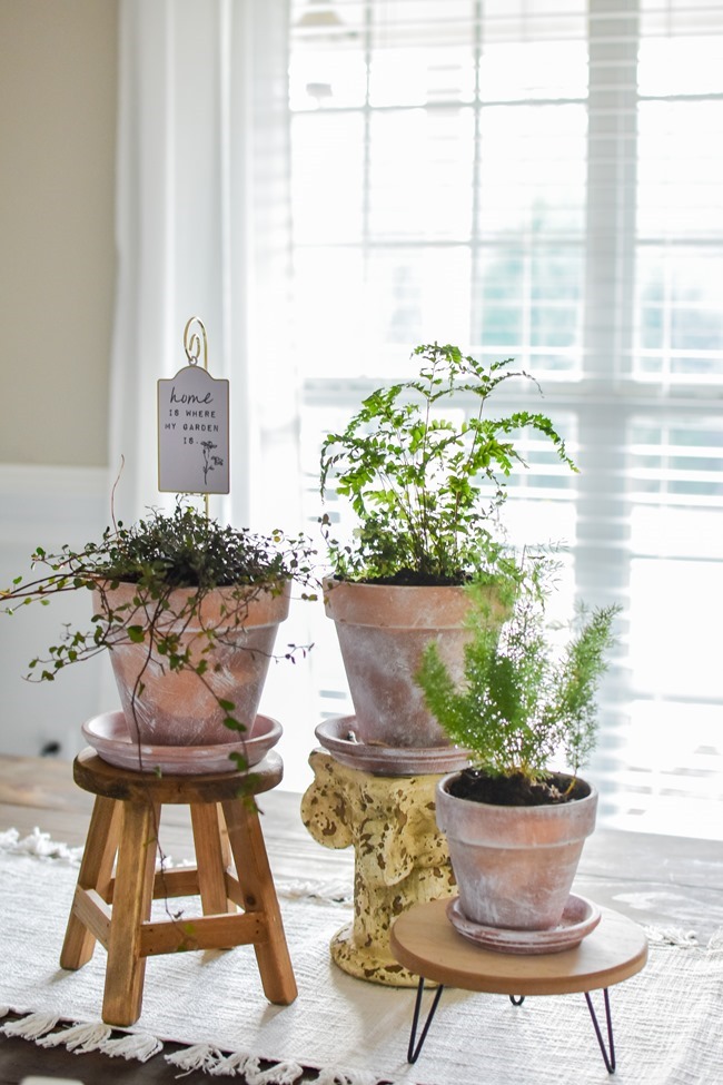 How to age Terra Cotta pots plus a simple spring centerpiece-9