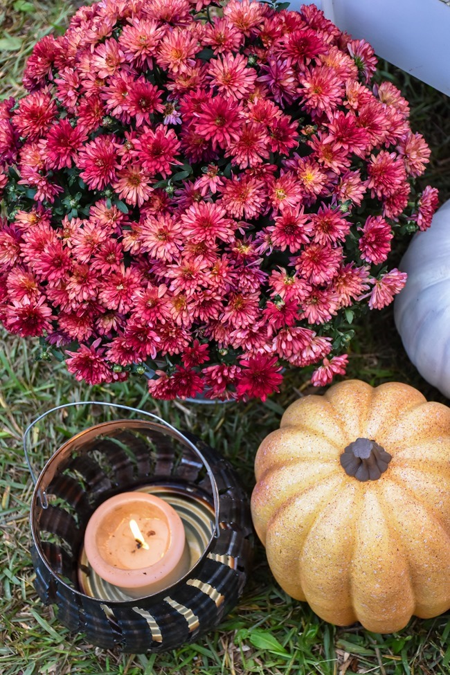 How to build a DIY firepit in your backyard-35 How to build a DIY firepit in your backyard-35