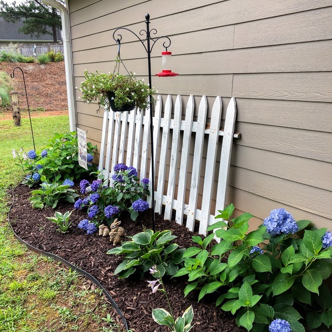 Summer Outdoor Yard and Flowers tour-26 Summer Outdoor Yard and Flowers tour-26