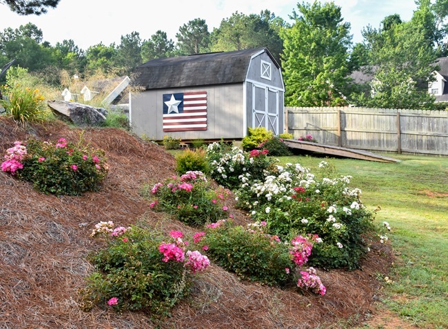 Summer Outdoor Yard and Flowers tour-37 Summer Outdoor Yard and Flowers tour-37