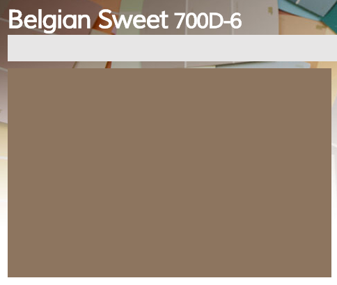 belgian sweet